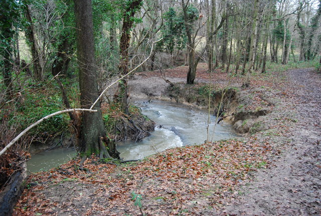 Woods Path